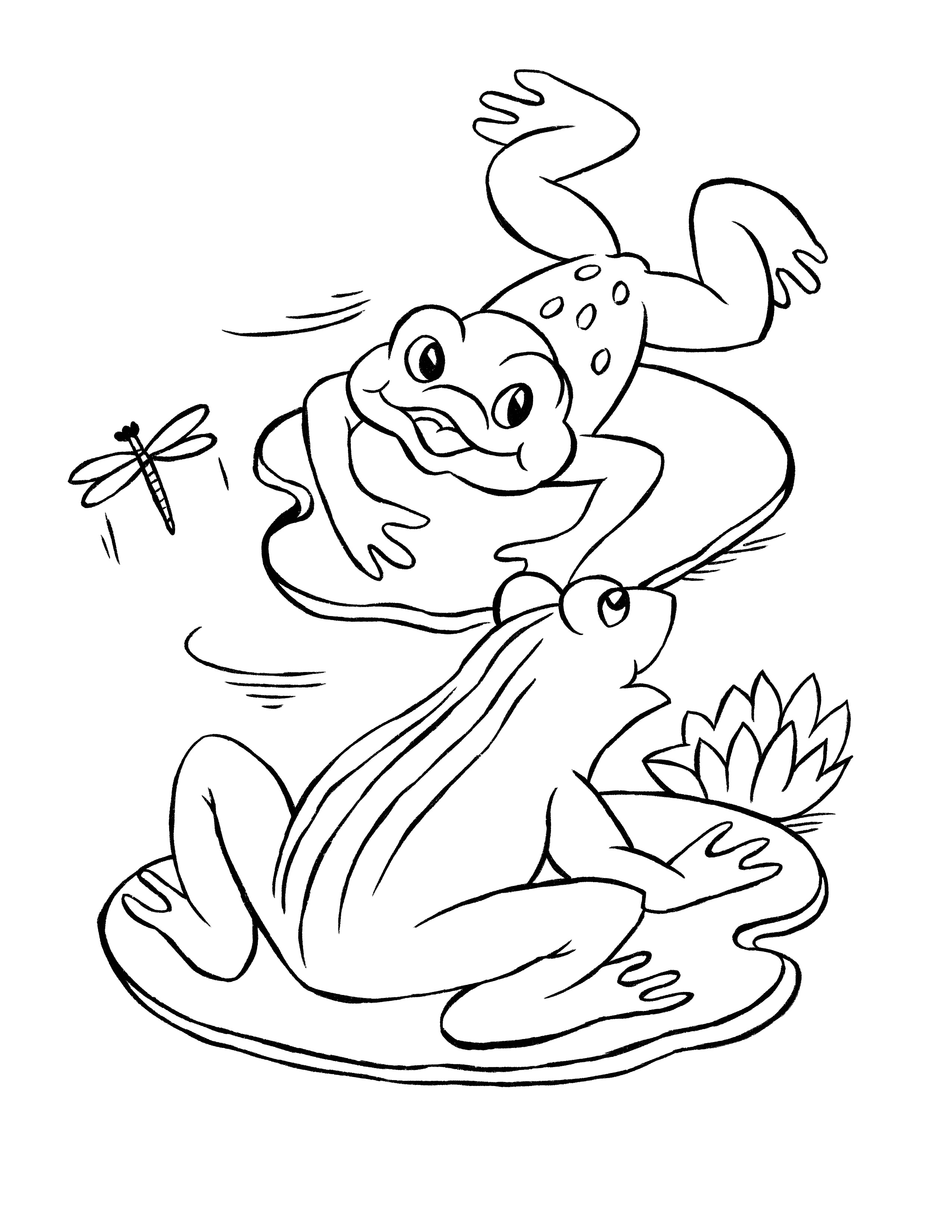 4 Frog Coloring Pages! - The Graphics Fairy