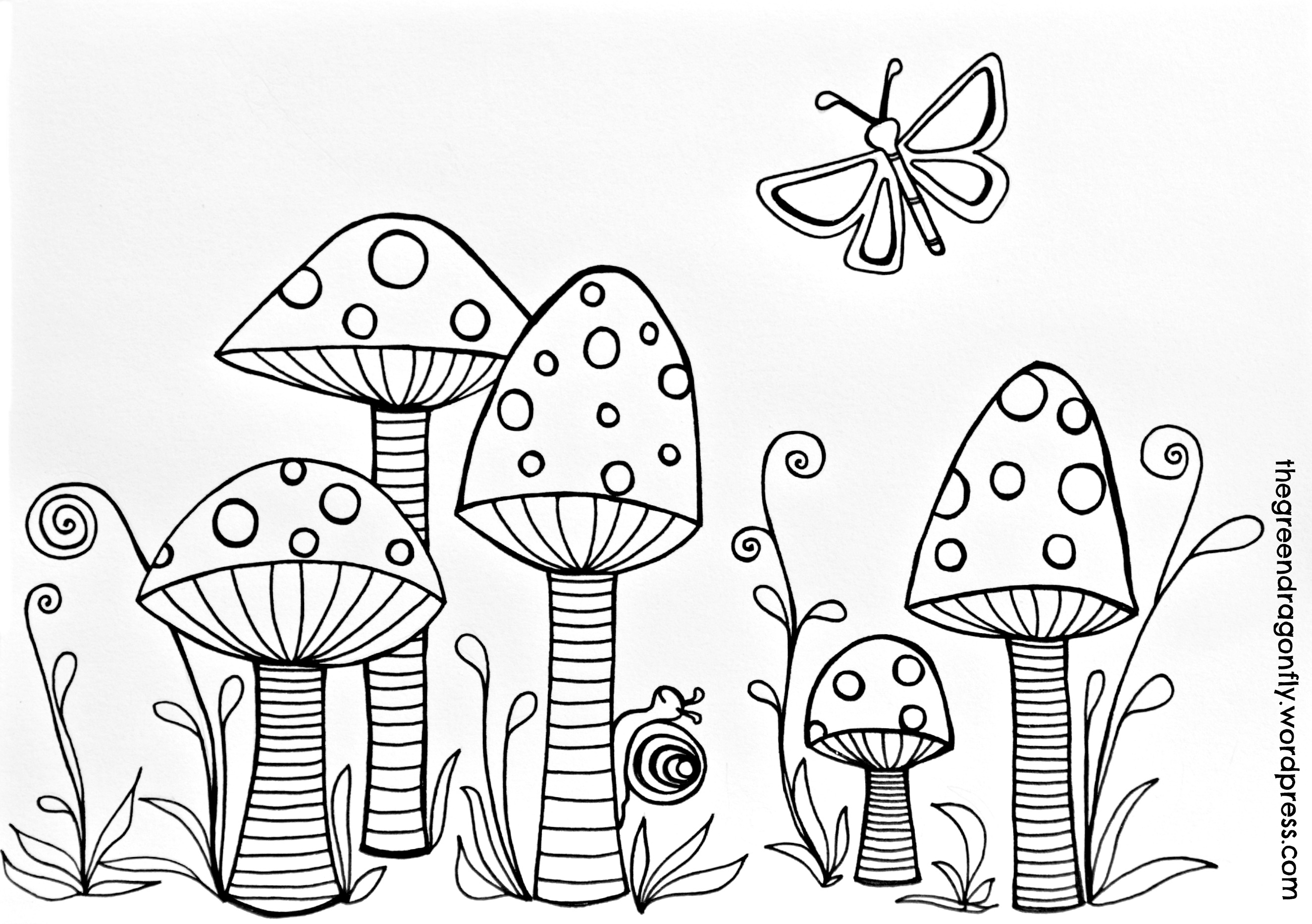 Toadstools coloring page – The Green Dragonfly