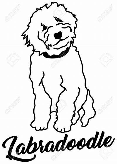 goldendoodle coloring pages - Yahoo Search Results | Goldendoodle,  Labradoodle, Dog art