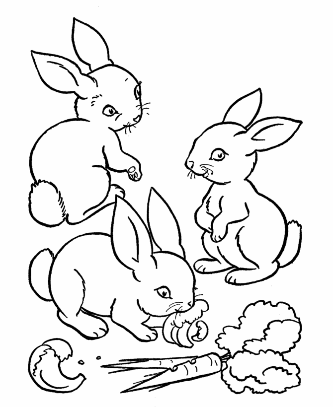 Farm Animals For Kids - Coloring Pages for Kids and for Adults