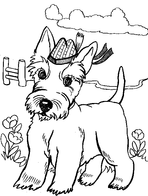 Pin on Coloring pages