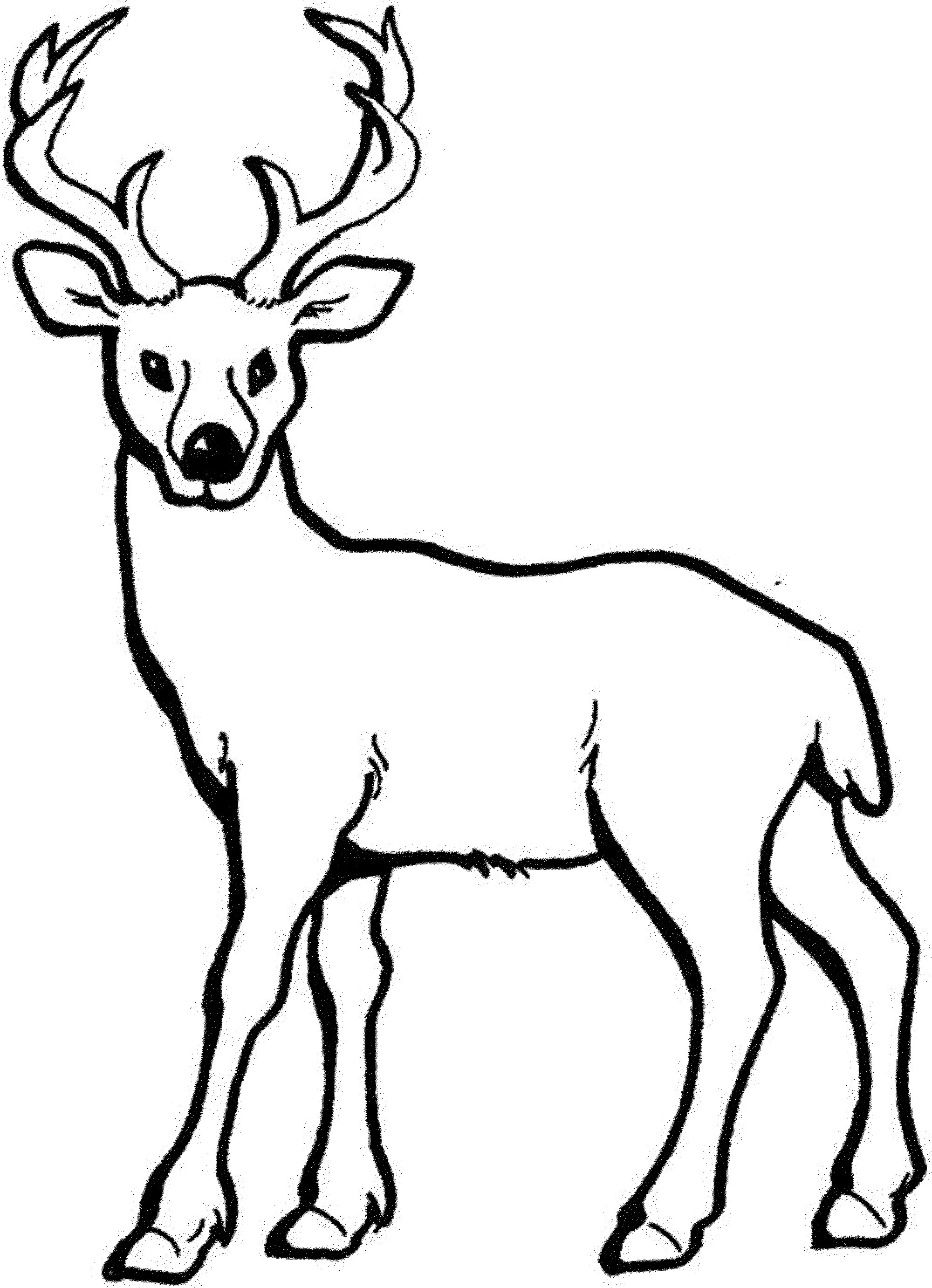 coloring pages of deer - Printable Kids Colouring Pages | Deer coloring  pages, Animal coloring pages, Animal coloring books