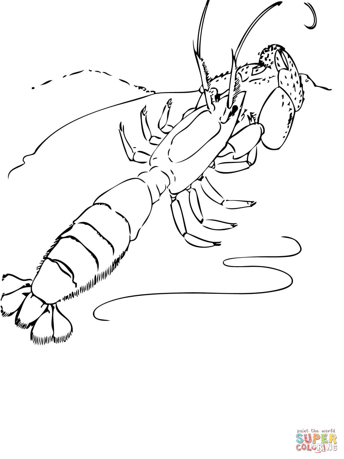 Shrimp coloring pages | Free Coloring Pages