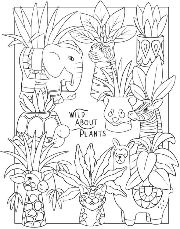 6 Plants Coloring Pages – Stamping