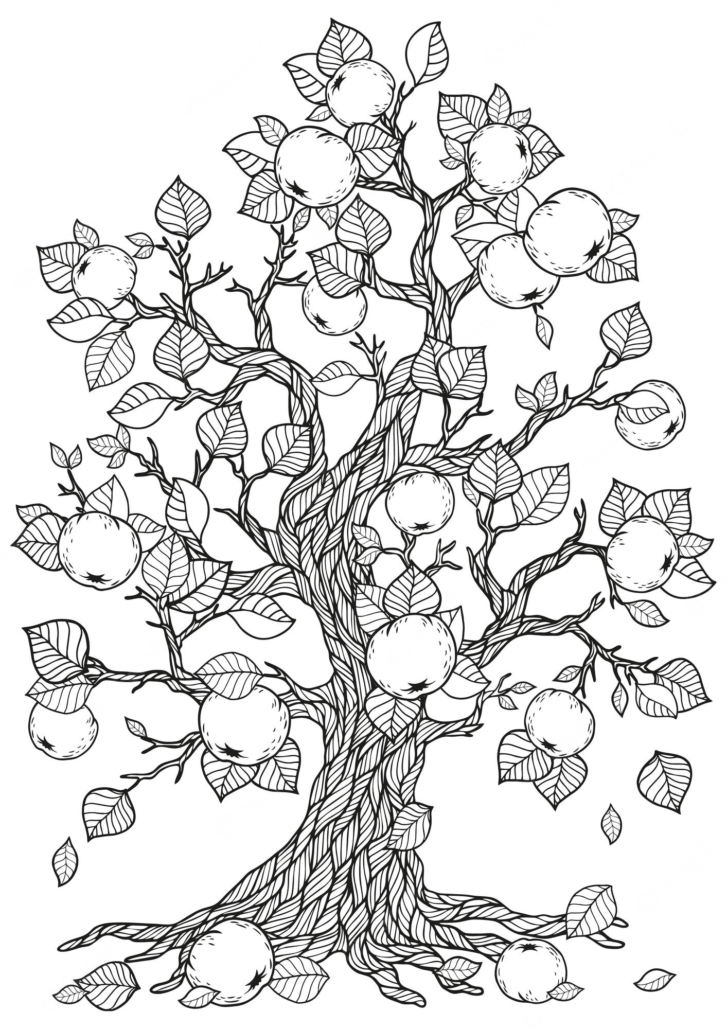 Premium Vector | Beautiful apple tree drawing coloring page