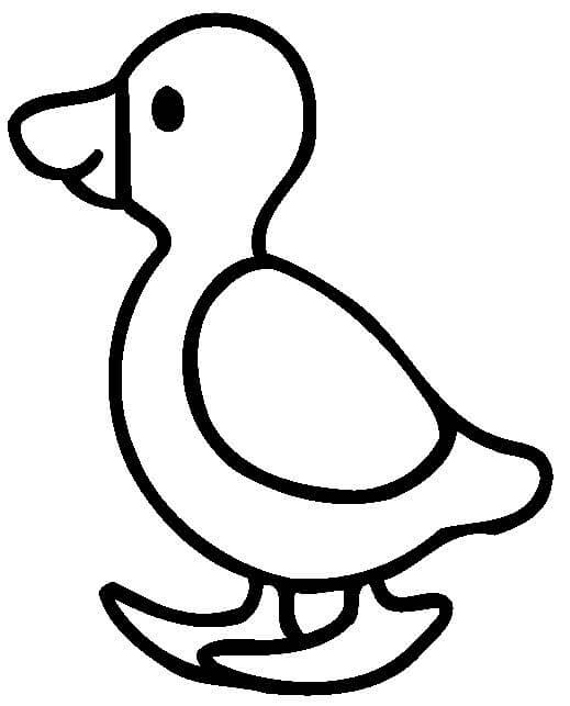 Little Duck for 1 Year Old Kids Coloring Page - Free Printable Coloring  Pages for Kids