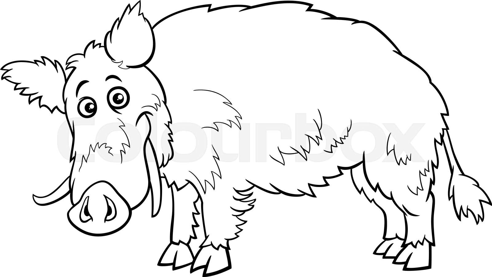 cartoon wild boar funny animal character coloring page | Stock vector |  Colourbox