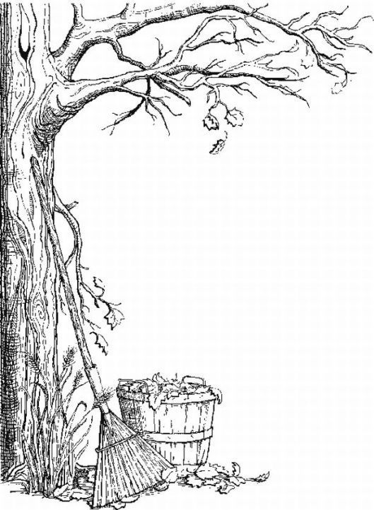 fall tree coloring pages - High Quality Coloring Pages
