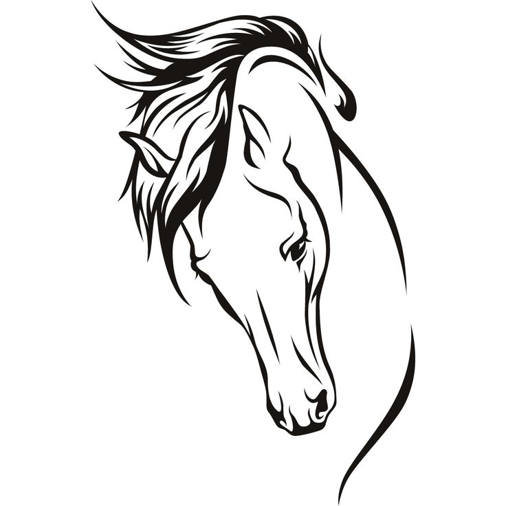 Horse Face Coloring Page