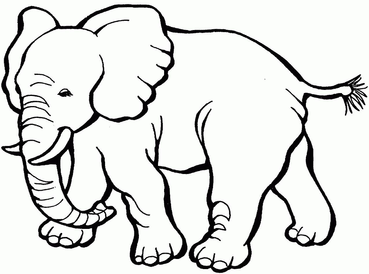 Free Printable Coloring Pages Of Animals - Coloring pages