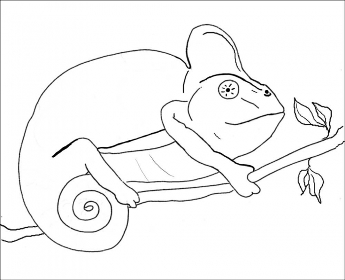 Mixed Up Chameleon Coloring Page | Coloring Pages Kids Collection