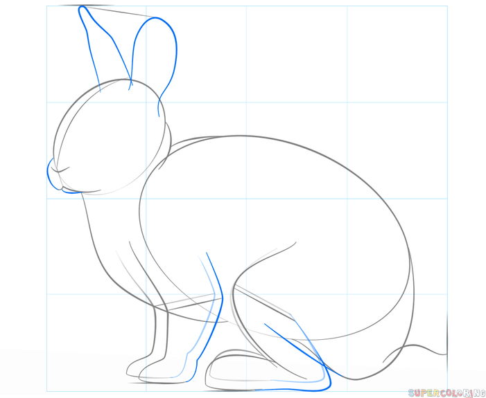 How to draw a rabbit | Step by step Drawing tutorials