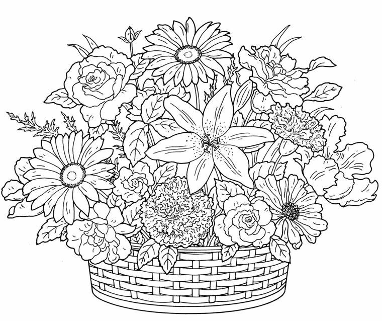 Advanced Coloring Page. Free Coloring Page - Coloring Nation