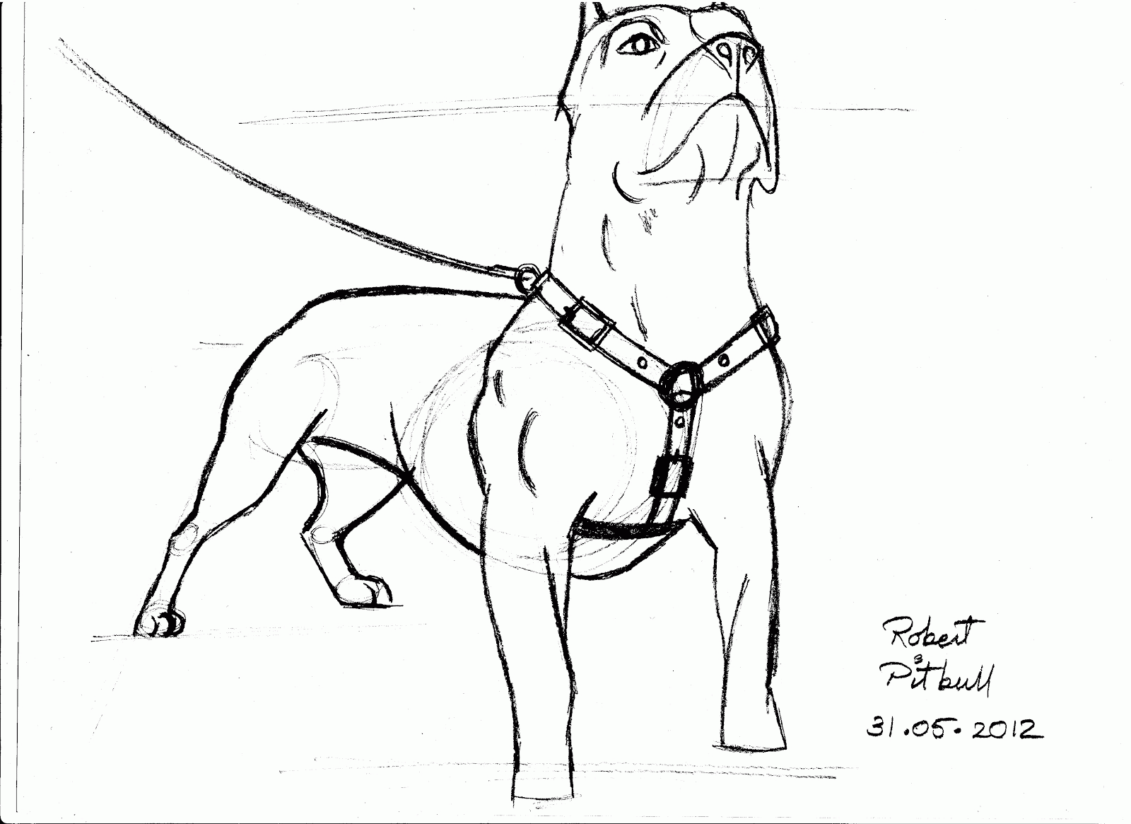 12 Pics of Pitbull Coloring Pages Free - Pit Bull Puppy Coloring ...