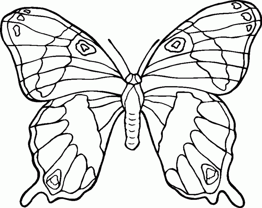 Very Detailed Butterfly Coloring Pages - coloringmania.pw ...