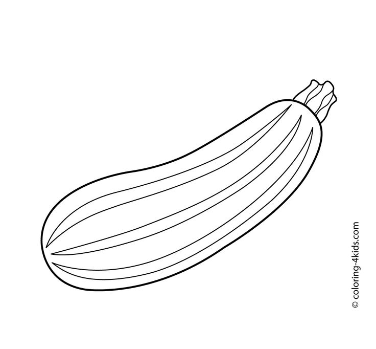 Zucchini vegetables coloring pages for kids, printable free | Vegetable coloring  pages, Coloring pages, Fruit coloring pages