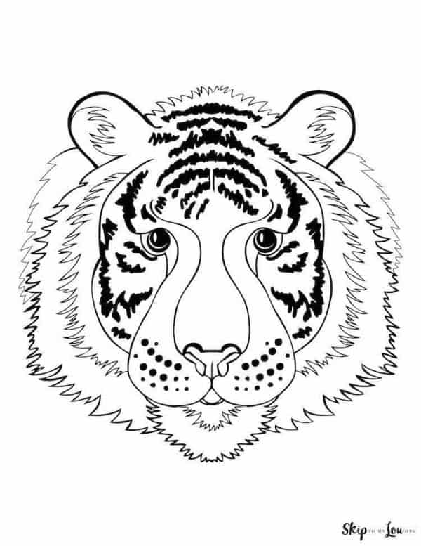 Tiger Coloring Pages | Skip To My Lou