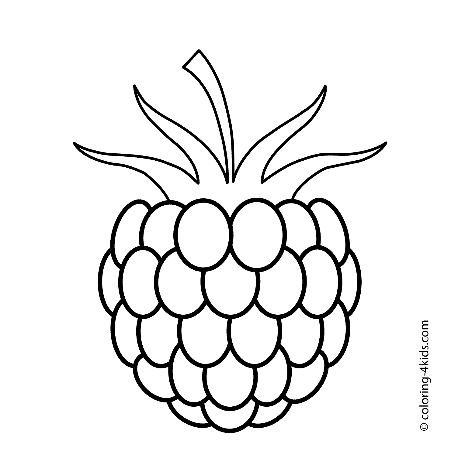 One raspberry fruits and berries coloring pages for kids, printable free |  Fruit coloring pages, Coloring pages, Coloring pages for kids