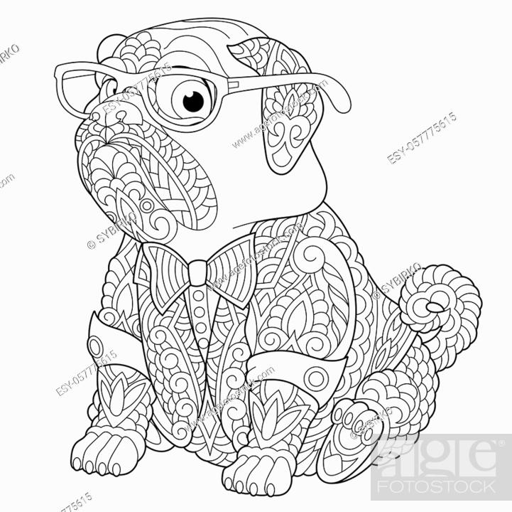 Coloring page. Coloring book. Anti stress colouring picture with pug dog,  Stock Vector, Vector And Low Budget Royalty Free Image. Pic. ESY-057775615  | agefotostock