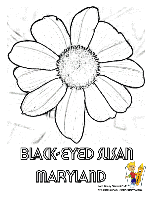 States Flower Printables | Maine-Montana | Free | Flower Drawings ...