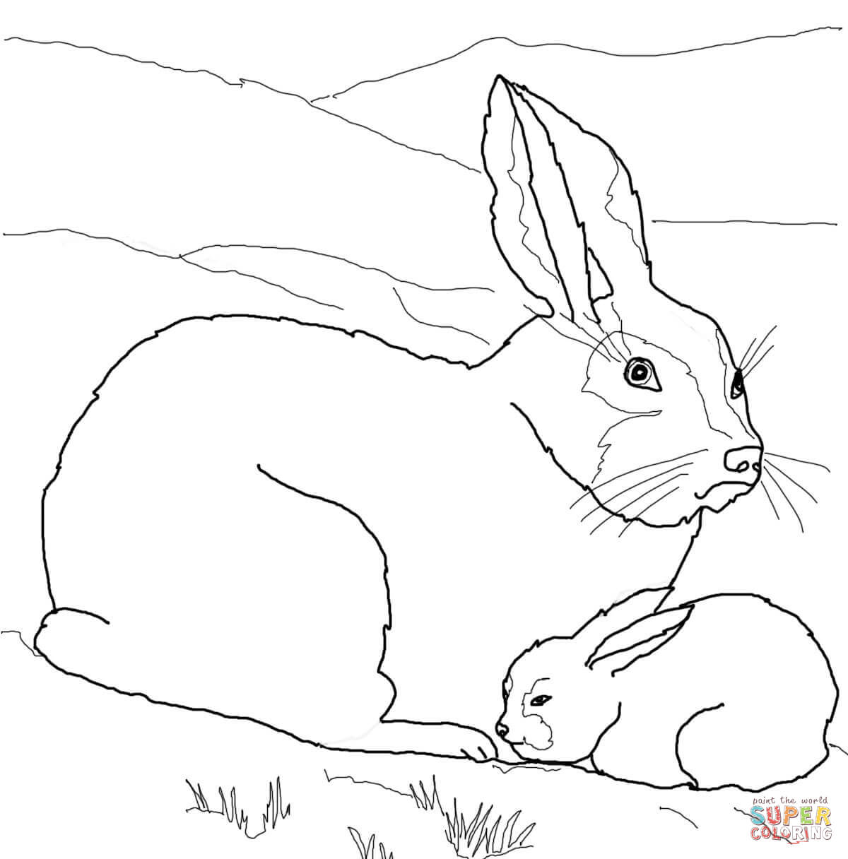 Arctic Coloring Pages Page 1