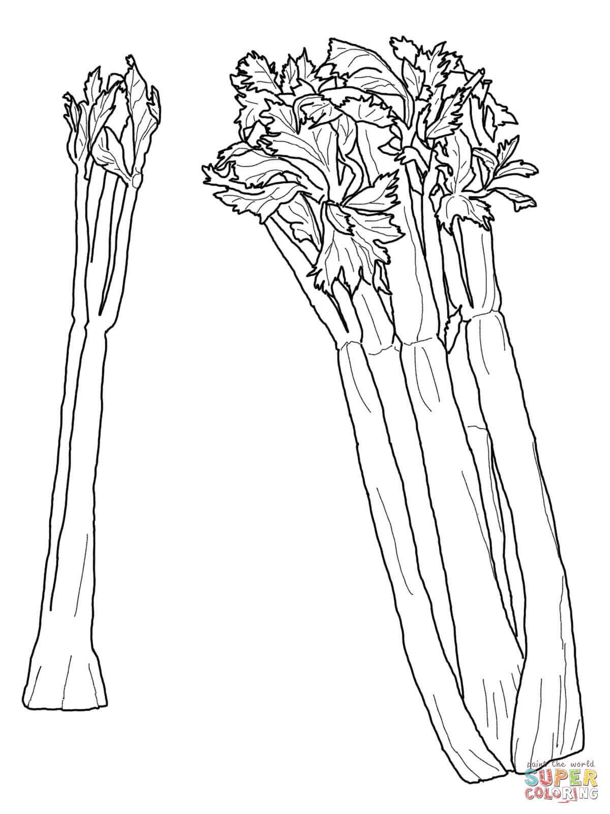 Celery coloring pages | Free Coloring Pages