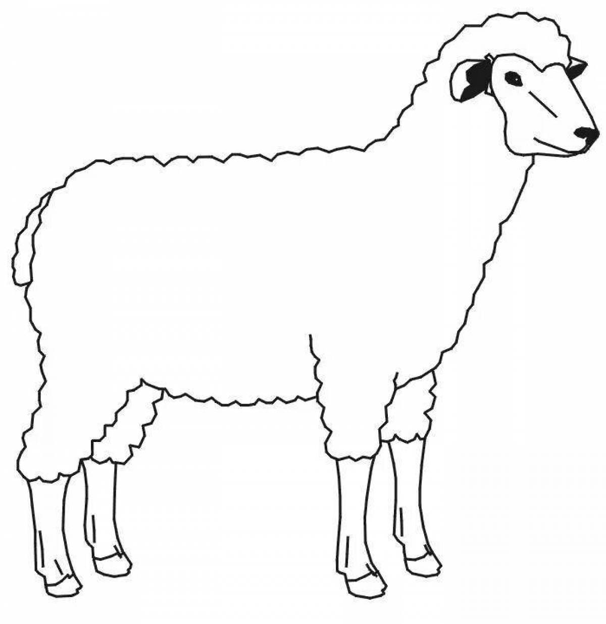 Farm Animal Coloring Pages for Kids | kids world