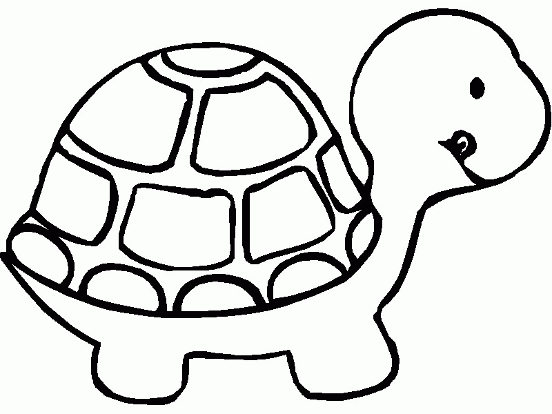 Turtle Coloring in Pages | Turtle Coloring