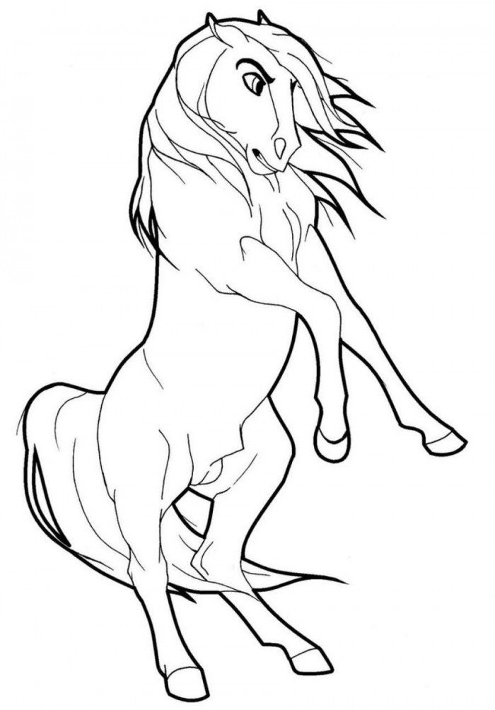 Wild Horse Coloring Pages To Print