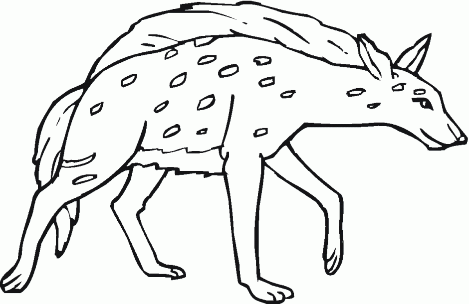 Hyena Coloring Pages Coloring Picture HD For Kids Fransus 276341 