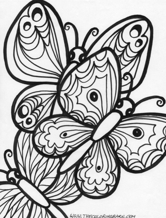 Butterfly The Coloring Barn Printable Coloring Pages Coloring 