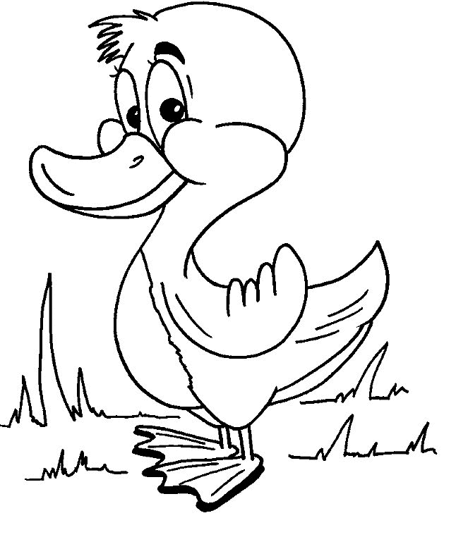 Coloring Page - Duck coloring pages 7
