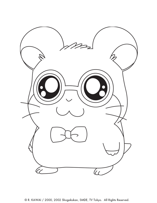 baby hamster coloring pages - Clip Art Library