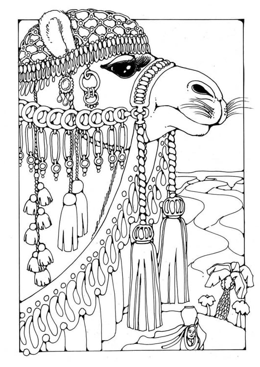 Coloring Page Camel - free printable coloring pages - Img 18445