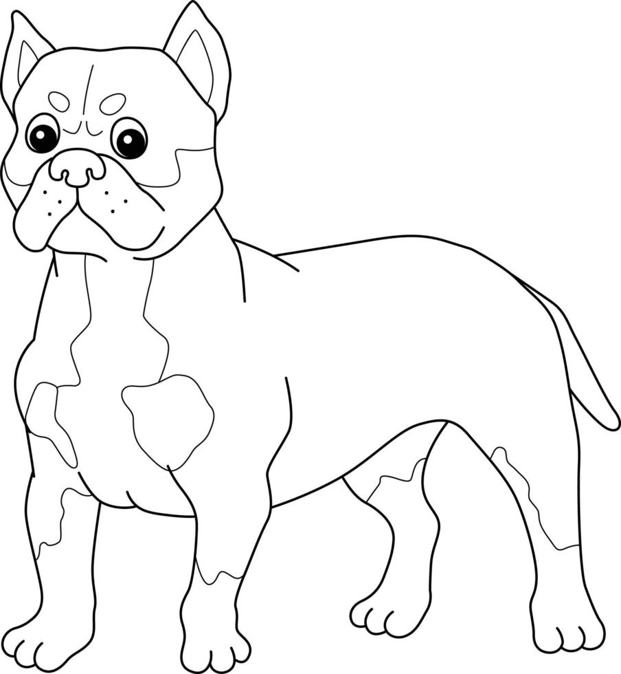 American Bully Dog Isolated Coloring Page 8944215 Vector Art at Vecteezy