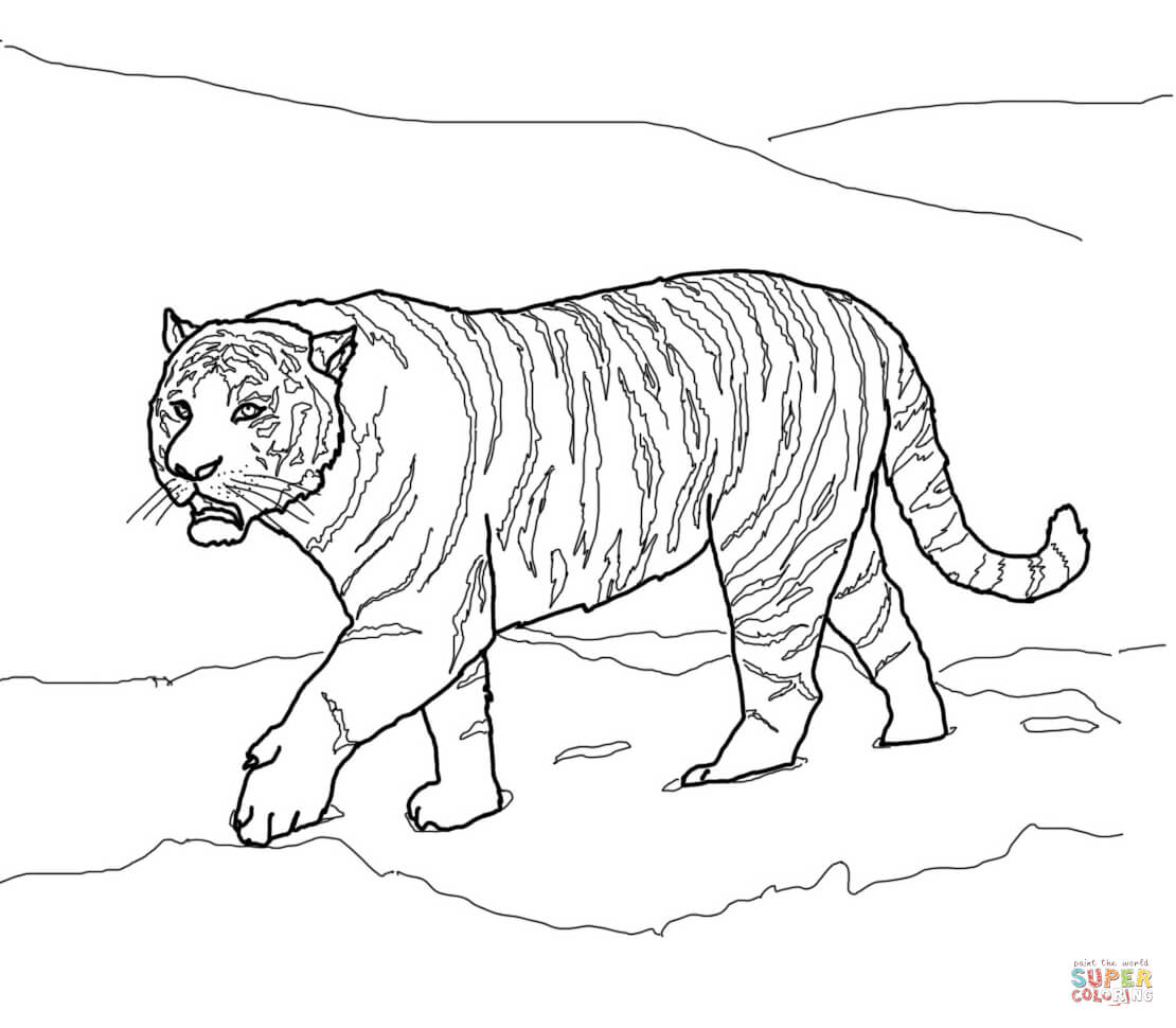 Tigers coloring pages | Free Coloring Pages