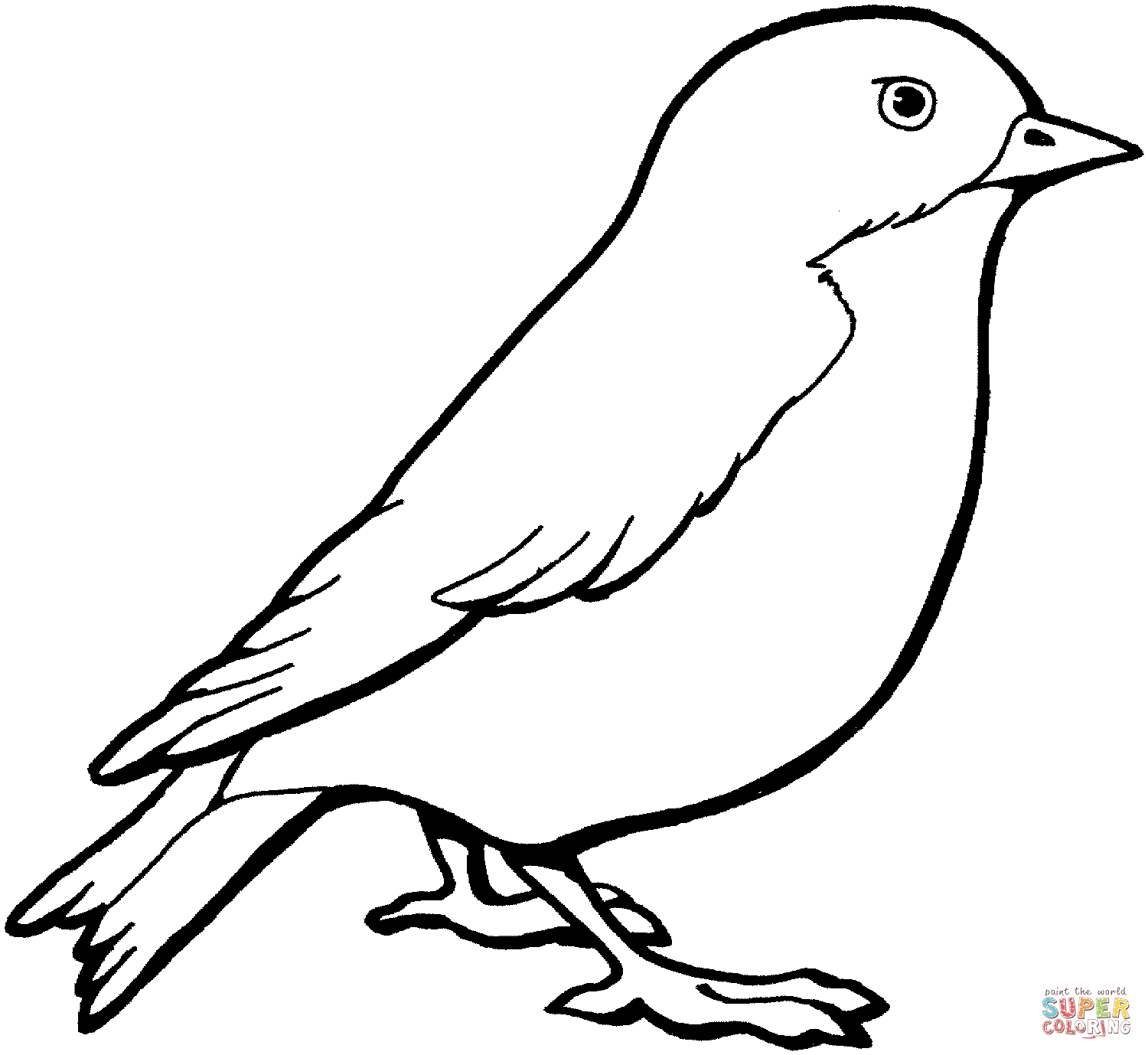 Sparrow coloring page | Free Printable Coloring Pages