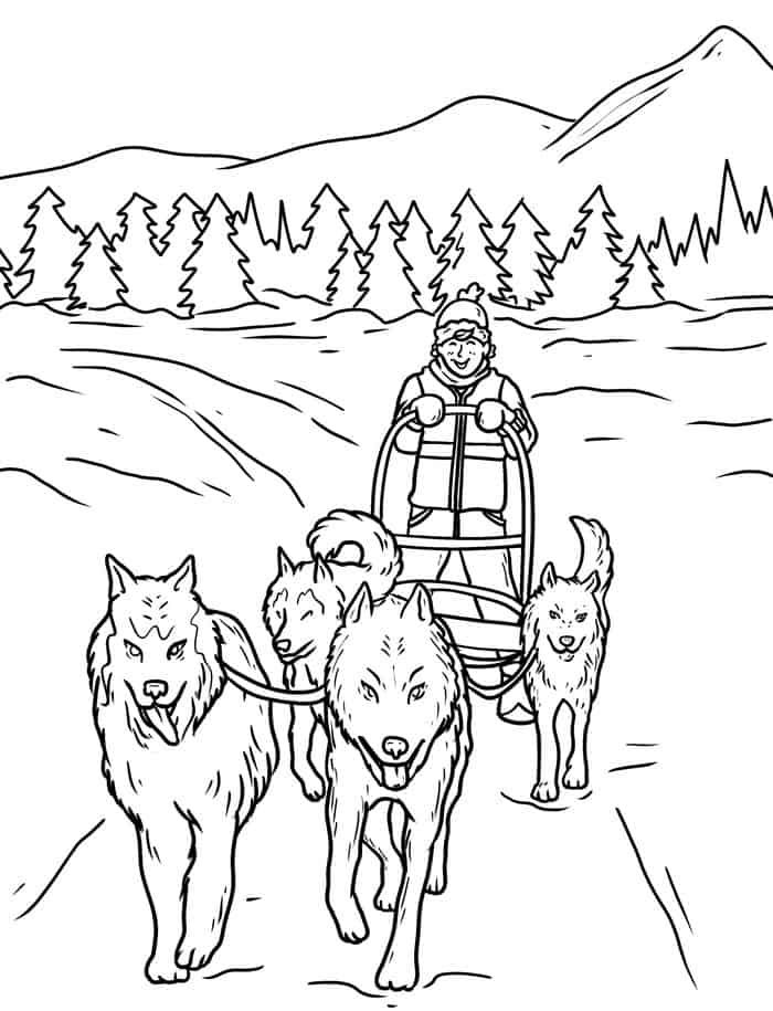 Dog Sled Coloring Pages | Malvorlagen tiere, Malvorlage eule, Schlittenhunde