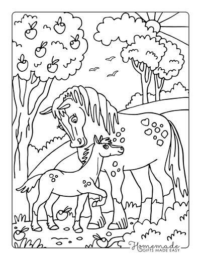 Best Horse Coloring Pages for Kids & Adults | Free Printables