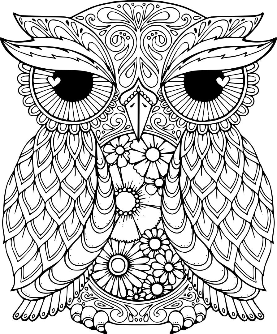 coloring pages : Coloringes Owl Patterns Free Printable Sheets Halloween  Quotes 62 Stunning Coloring Pages Owl ~ mommaonamissioninc