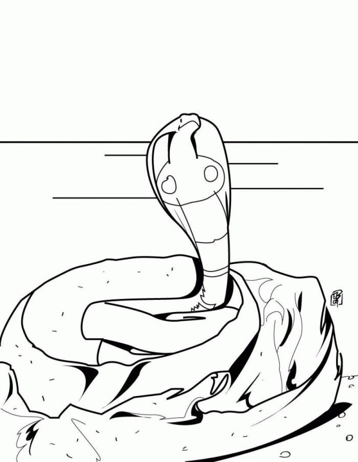 Australian Snake Coloring Pages | 99coloring.com