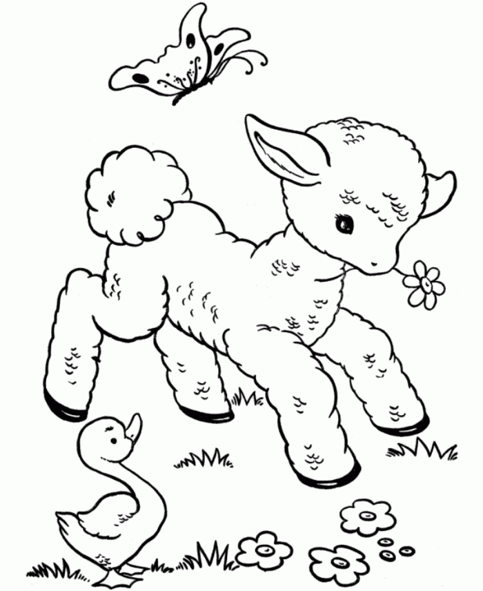 Animal Babies Coloring Pages