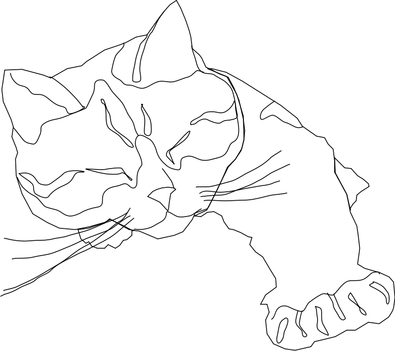 Cat Coloring