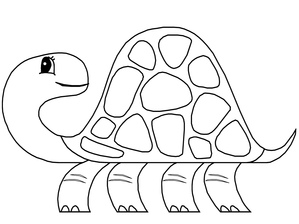 Turtle 6 Animals Coloring Pages & Coloring Book