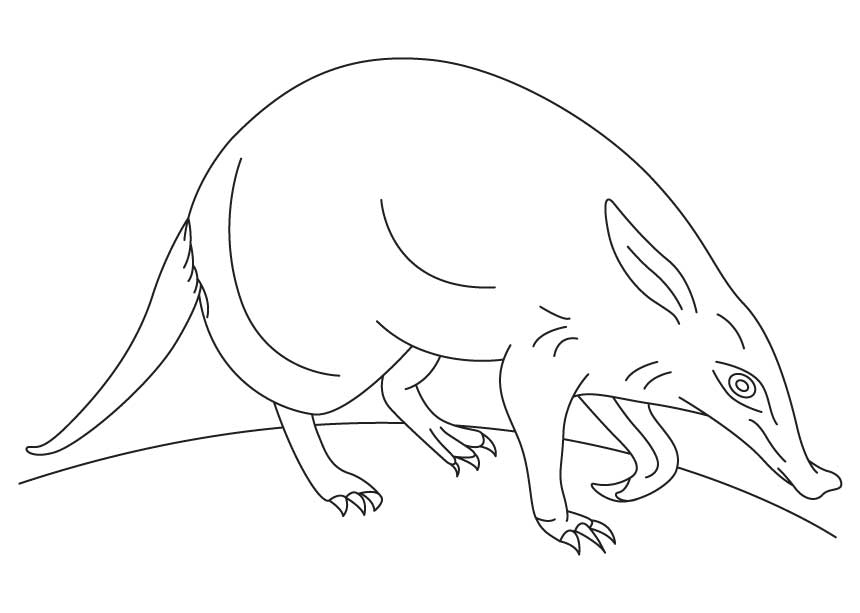 aardvark and ant coloring pages : Printable Coloring Sheet ~ Anbu 