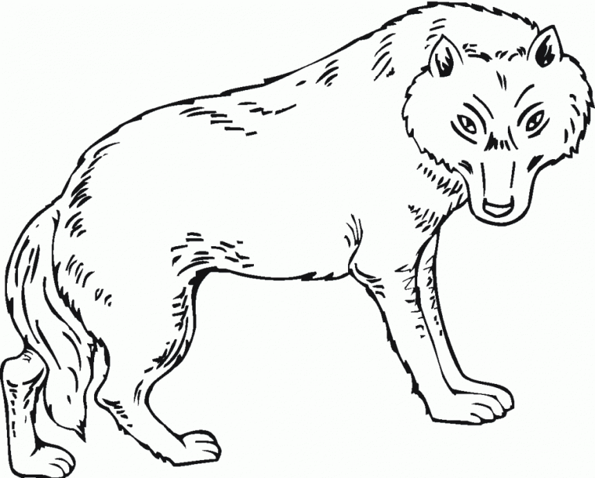 Peter And The Wolf Coloring Pages | Coloring Pages