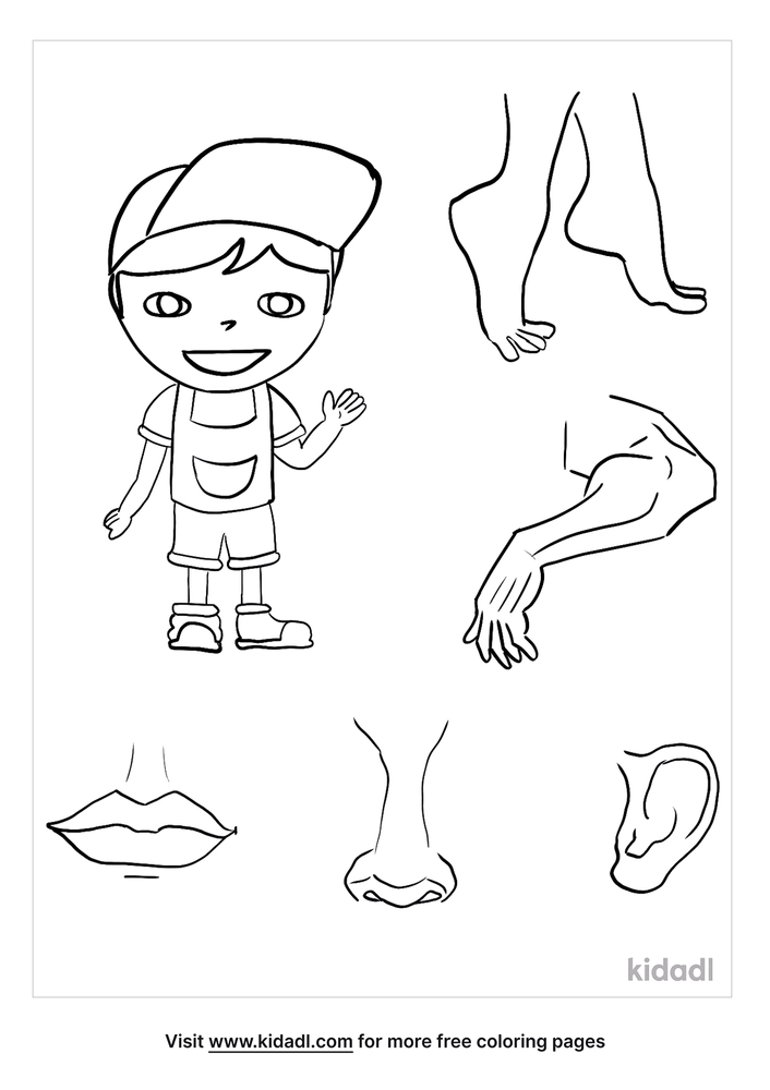 One Body Many Parts Coloring Pages | Free Human-body Coloring Pages | Kidadl