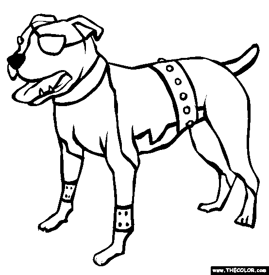 American Pit Bull Terrier Coloring Page | Free American Pit Bull Terrier  Online Coloring