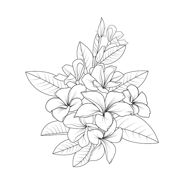 Premium Vector | Set of hand-drawn black and white frangipani flower  drawing, blossom plumeria flowers coloring page