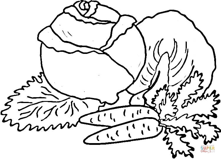 Cabbage and Carrots coloring page | Free Printable Coloring Pages